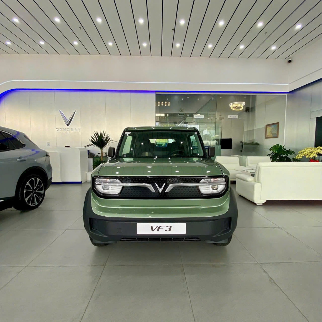 thuê xe tự lái điện vf3 tphcm