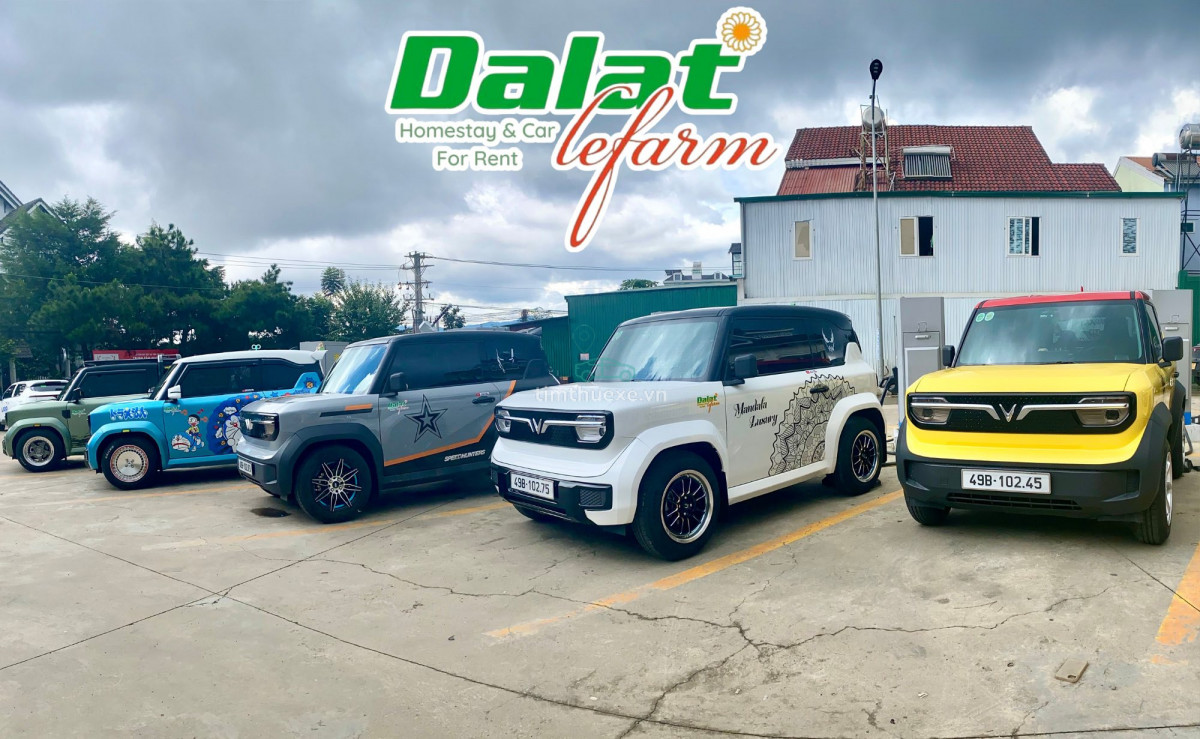 thuê ôtô tự lái VinFast VF3 đường Nam Hồ Xuân Trường - Đà Lạt thành phố Đà Lạt Lâm Đồng giá rẻ