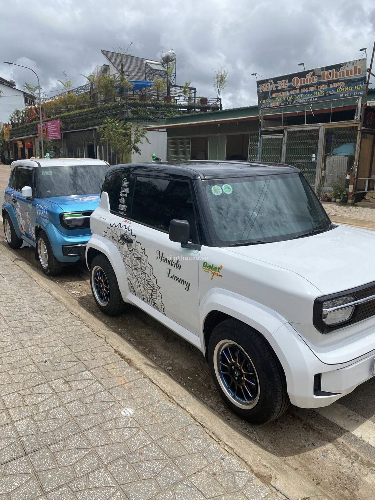 xe tự lái VinFast VF3 Lâm Đồng