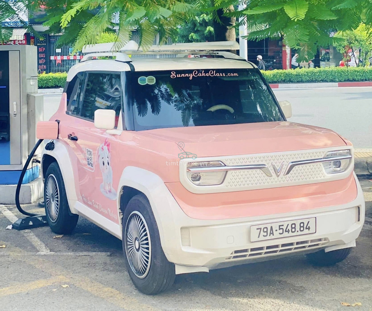 xe tự lái VinFast VF3 TPHCM giá tốt